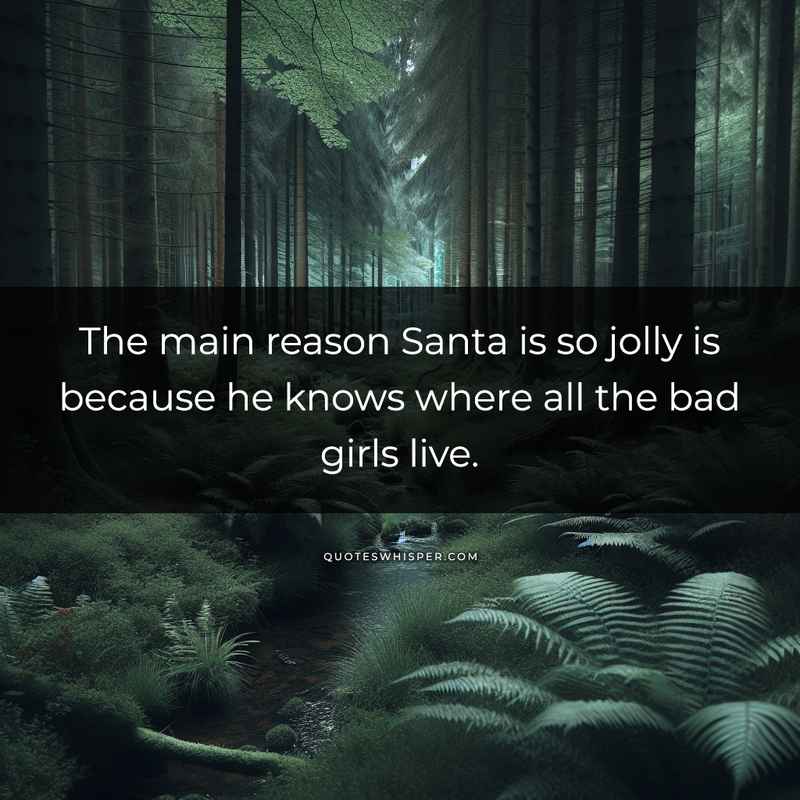 The main reason Santa is so jolly is because he knows where all the bad girls live.