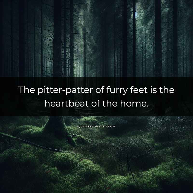 The pitter-patter of furry feet is the heartbeat of the home.