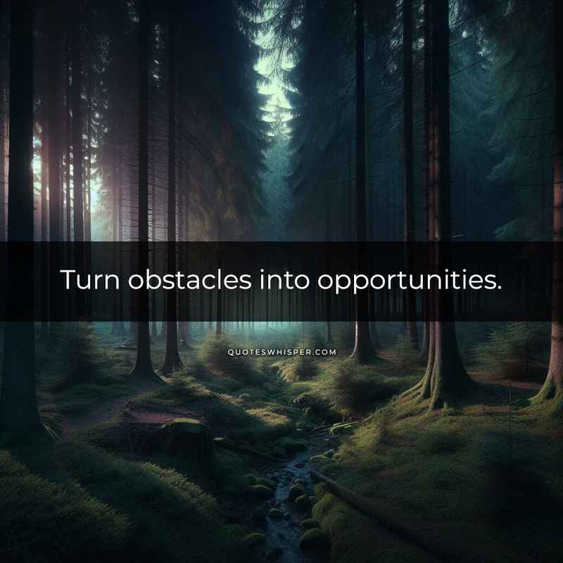 Turn obstacles into opportunities.