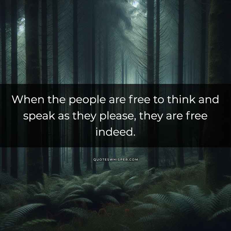 When the people are free to think and speak as they please, they are free indeed.