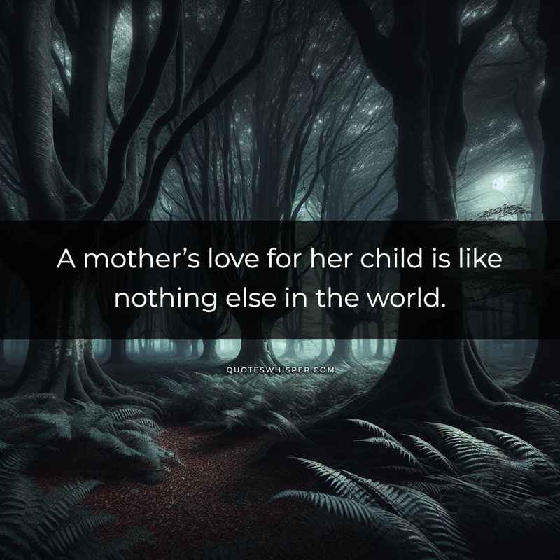 A mother’s love for her child is like nothing else in the world.