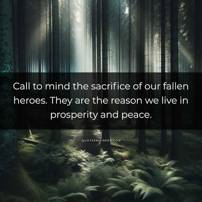 Call to mind the sacrifice of our fallen heroes. They are the reason we live in prosperity and peace.