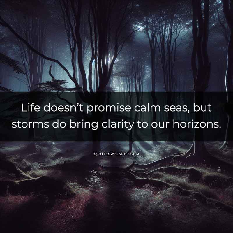 Life doesn’t promise calm seas, but storms do bring clarity to our horizons.