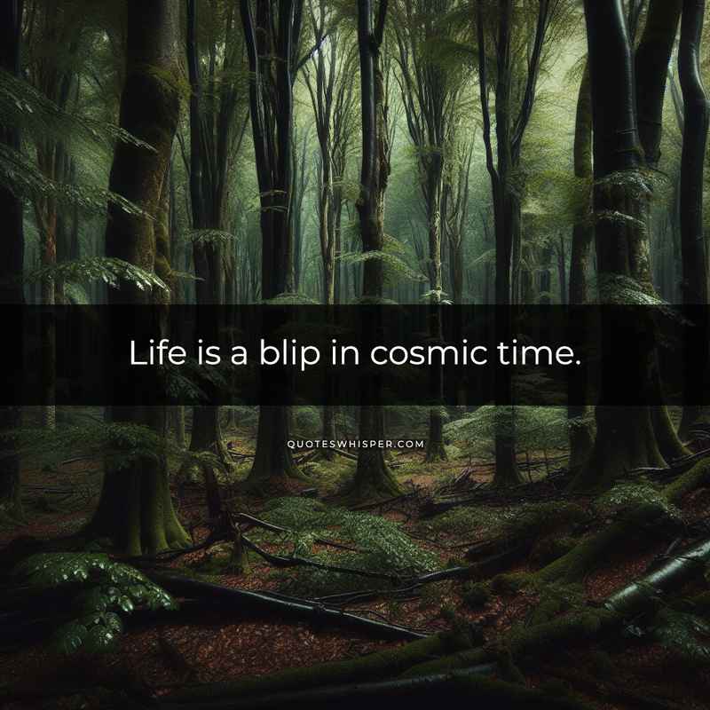 Life is a blip in cosmic time.