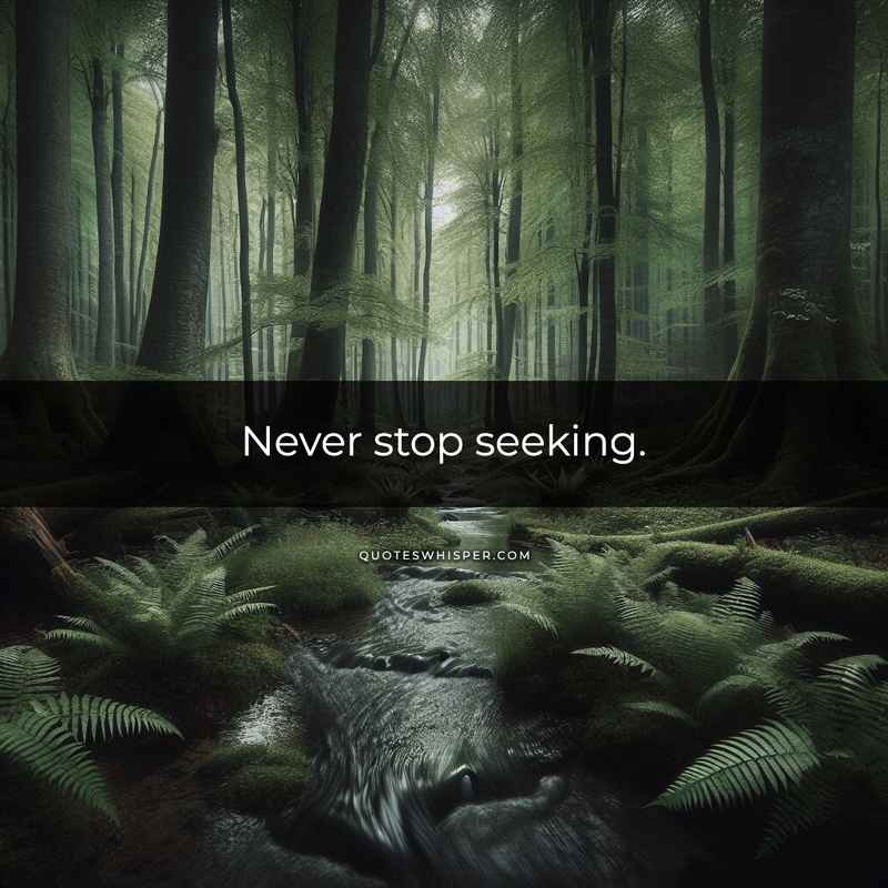 Never stop seeking.