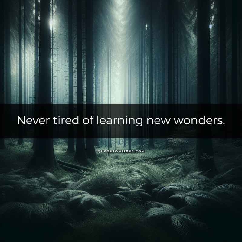 Never tired of learning new wonders.
