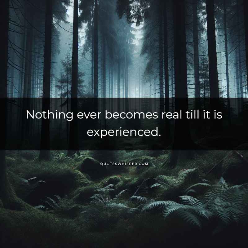 Nothing ever becomes real till it is experienced.