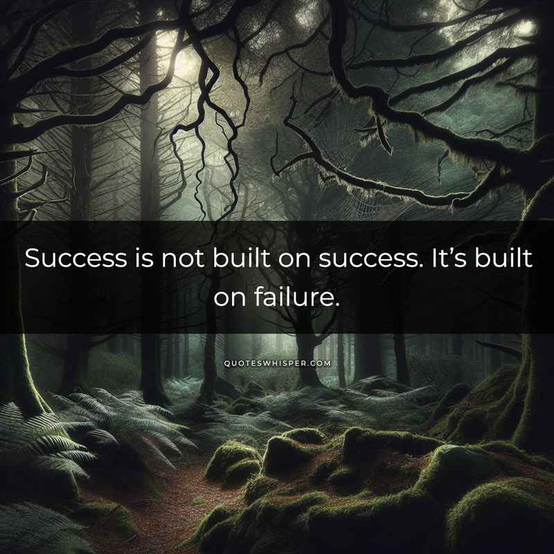 Success is not built on success. It’s built on failure.