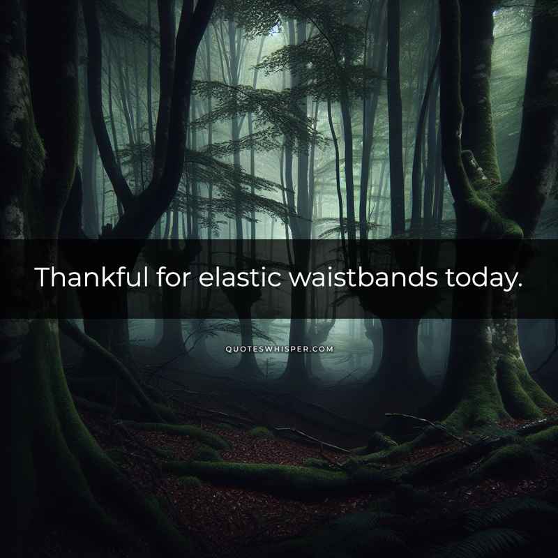 Thankful for elastic waistbands today.
