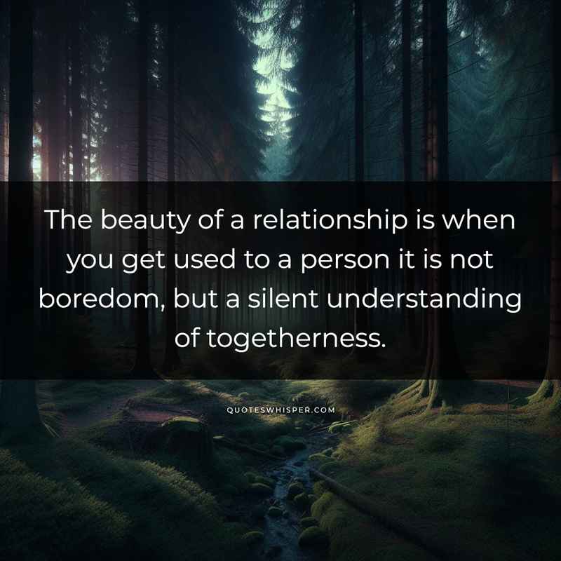 The beauty of a relationship is when you get used to a person it is not boredom, but a silent understanding of togetherness.