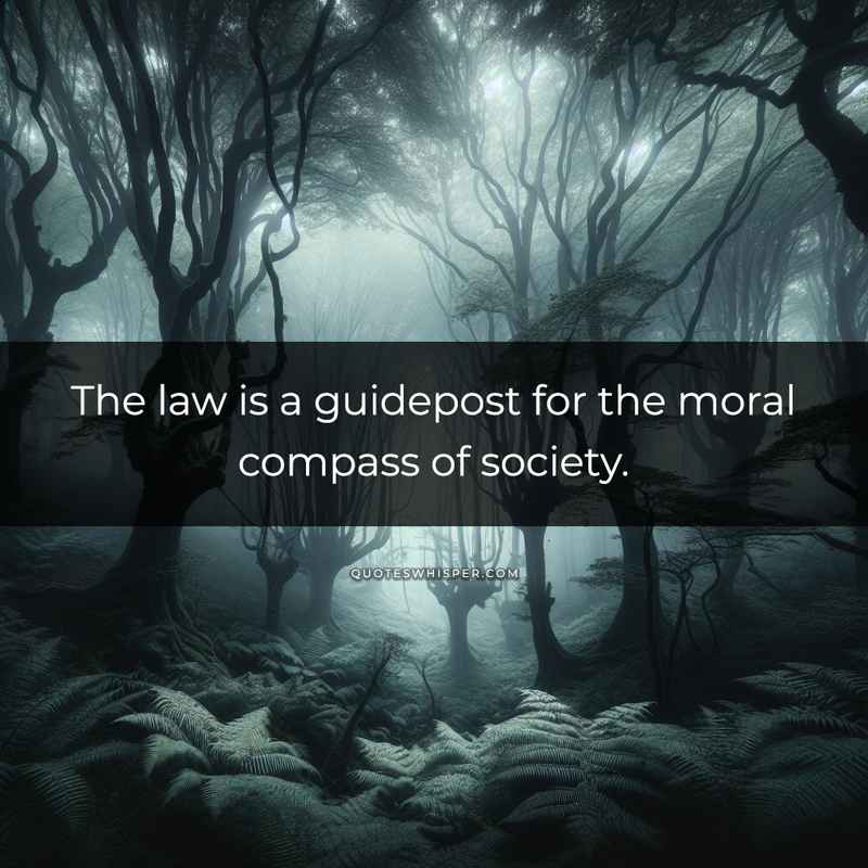 The law is a guidepost for the moral compass of society.