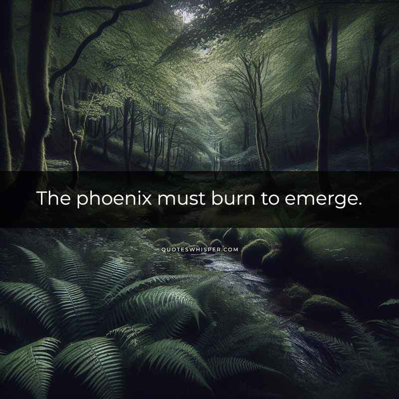 The phoenix must burn to emerge.