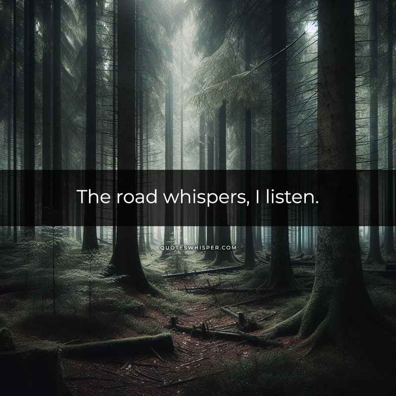 The road whispers, I listen.