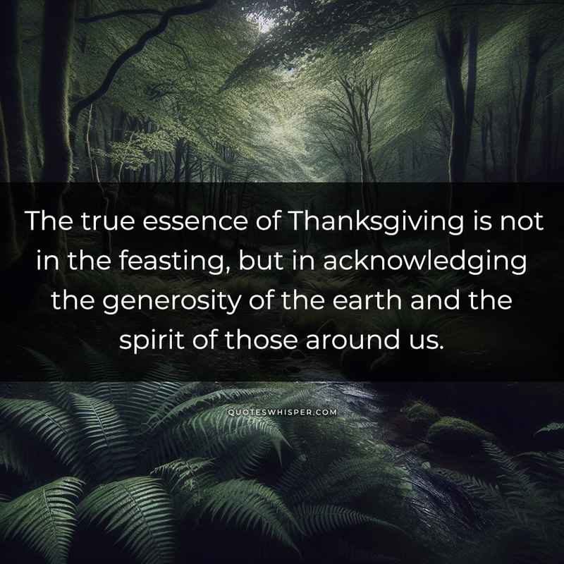 The true essence of Thanksgiving is not in the feasting, but in acknowledging the generosity of the earth and the spirit of those around us.