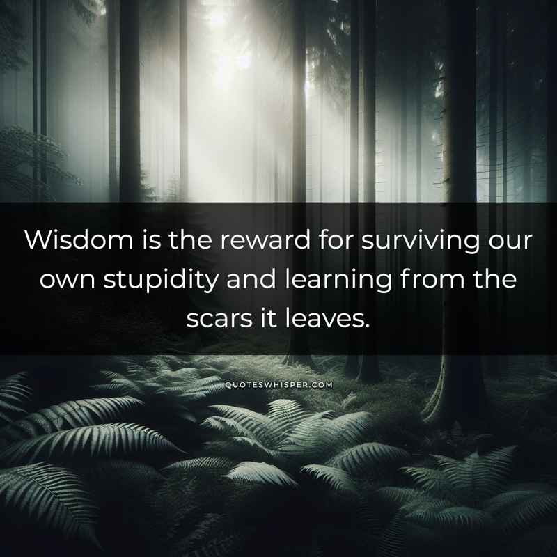 Wisdom is the reward for surviving our own stupidity and learning from the scars it leaves.