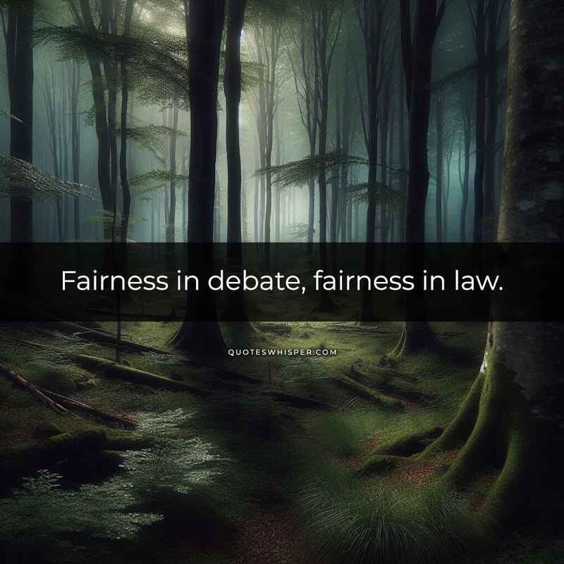 Fairness in debate, fairness in law.