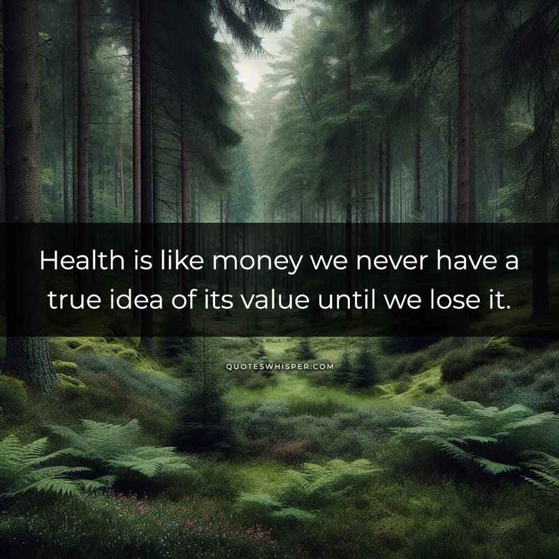 Health is like money we never have a true idea of its value until we lose it.
