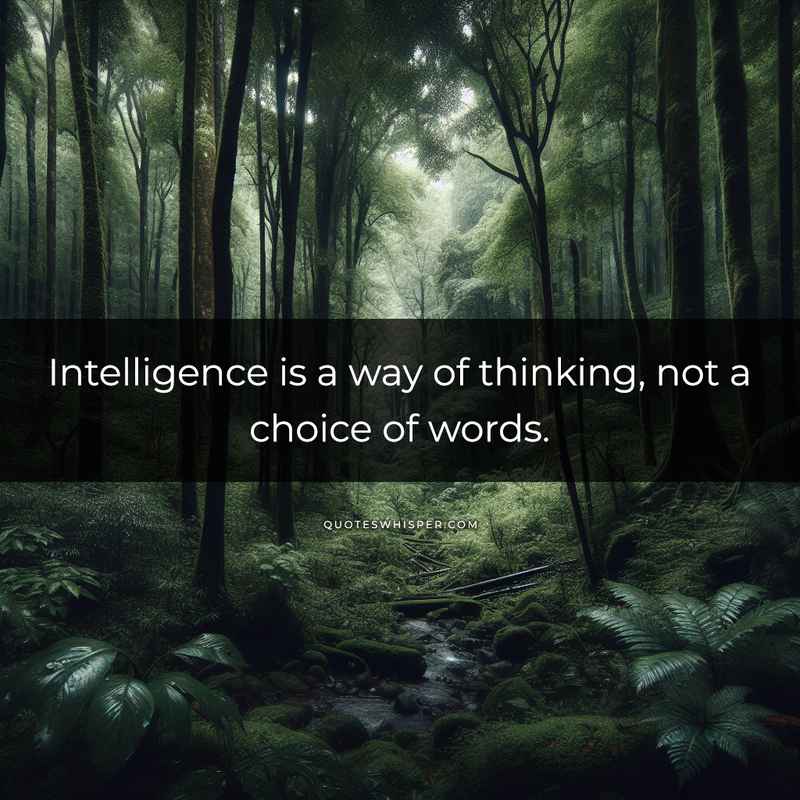 Intelligence is a way of thinking, not a choice of words.