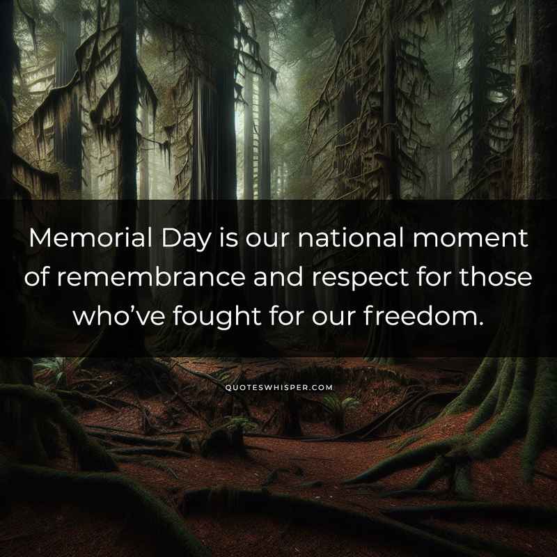 Memorial Day is our national moment of remembrance and respect for those who’ve fought for our freedom.