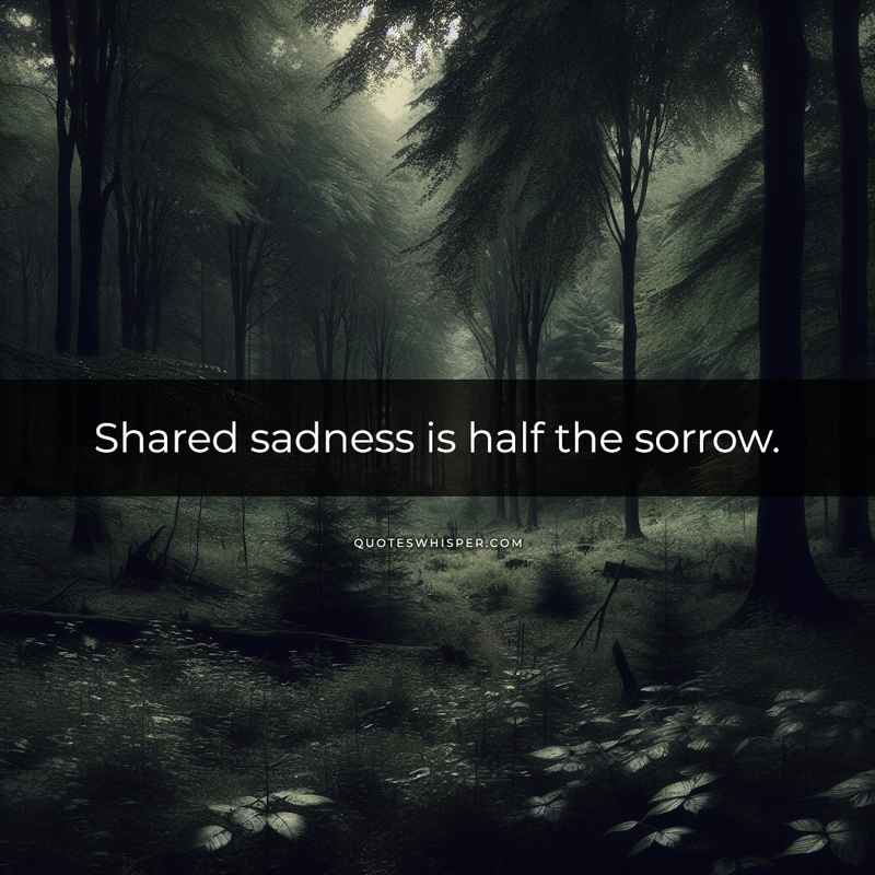 Shared sadness is half the sorrow.