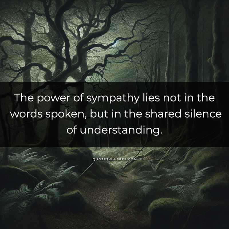 The power of sympathy lies not in the words spoken, but in the shared silence of understanding.
