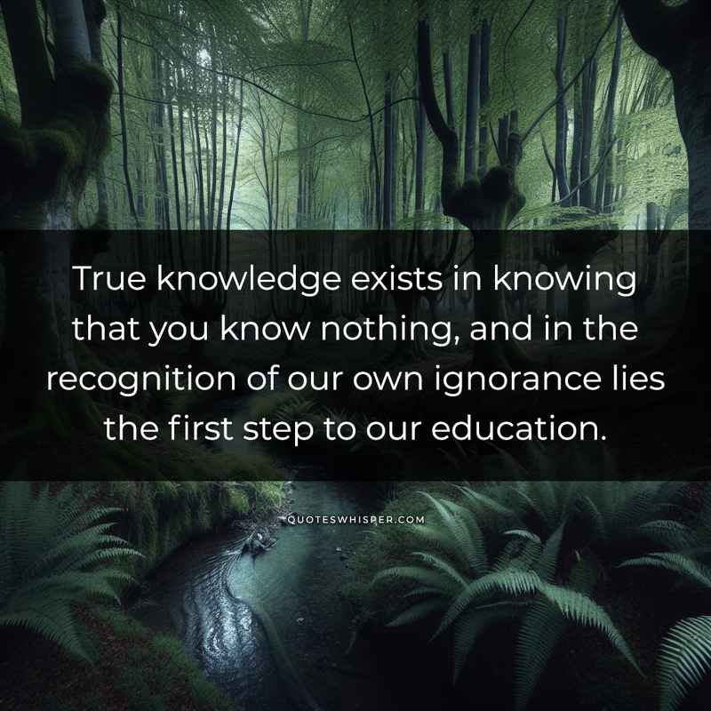 True knowledge exists in knowing that you know nothing, and in the recognition of our own ignorance lies the first step to our education.