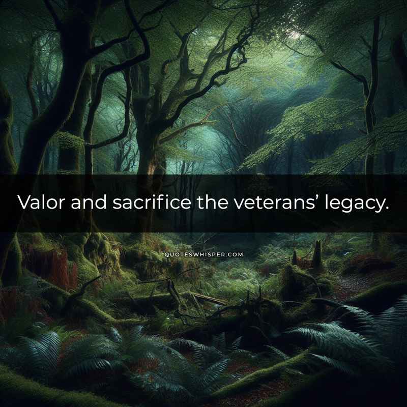 Valor and sacrifice the veterans’ legacy.