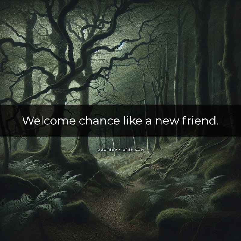 Welcome chance like a new friend.