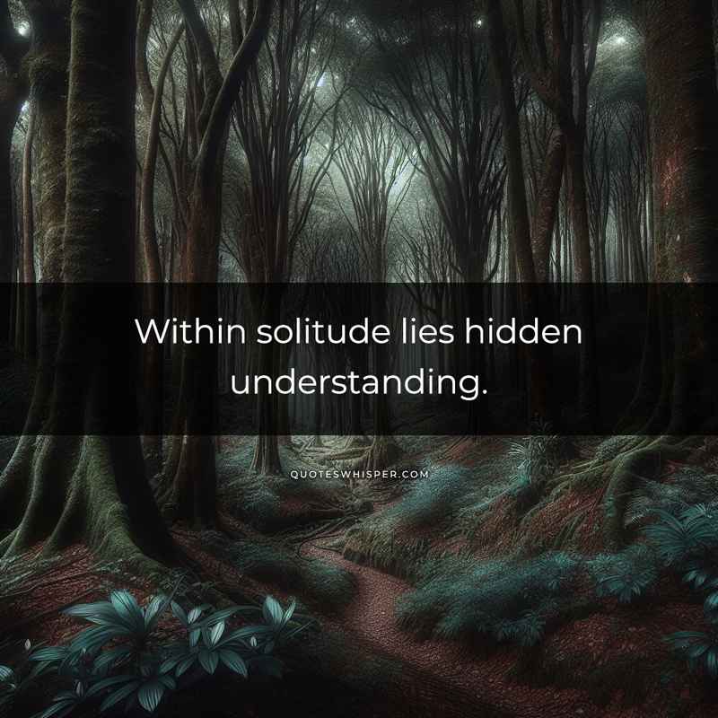 Within solitude lies hidden understanding.