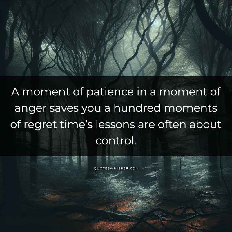 A moment of patience in a moment of anger saves you a hundred moments of regret time’s lessons are often about control.