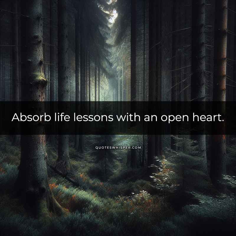 Absorb life lessons with an open heart.