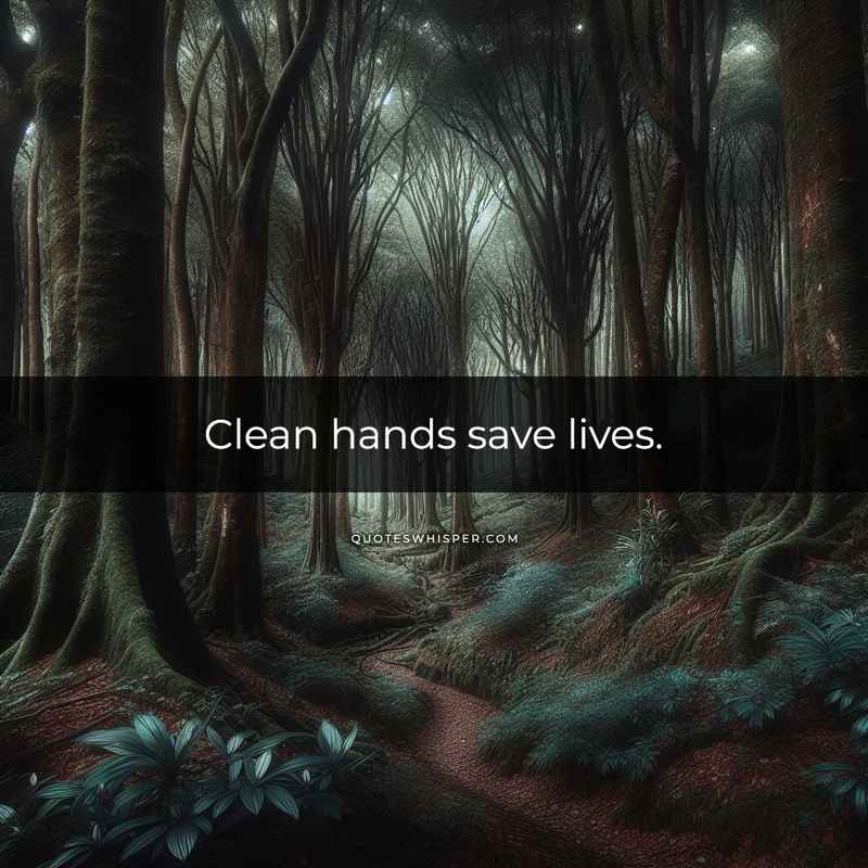 Clean hands save lives.