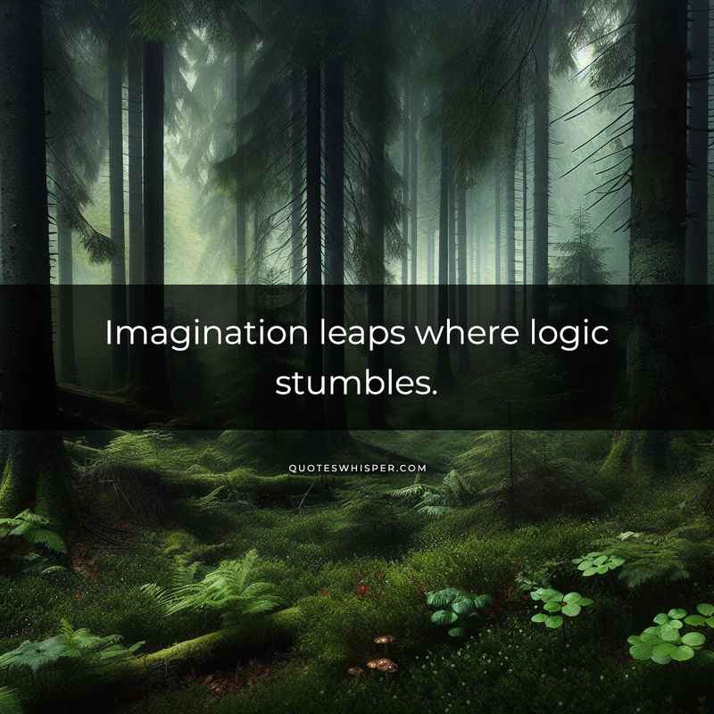 Imagination leaps where logic stumbles.