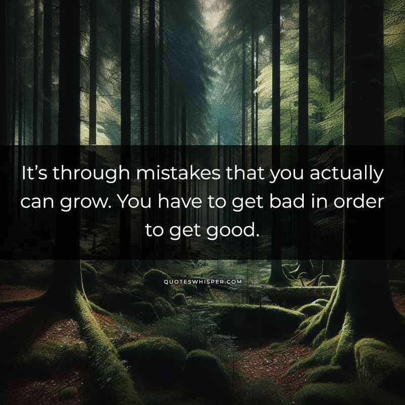 It’s through mistakes that you actually can grow. You have to get bad in order to get good.