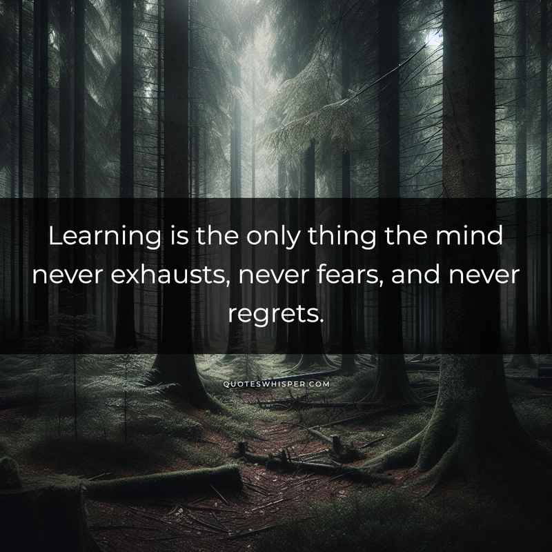 Learning is the only thing the mind never exhausts, never fears, and never regrets.