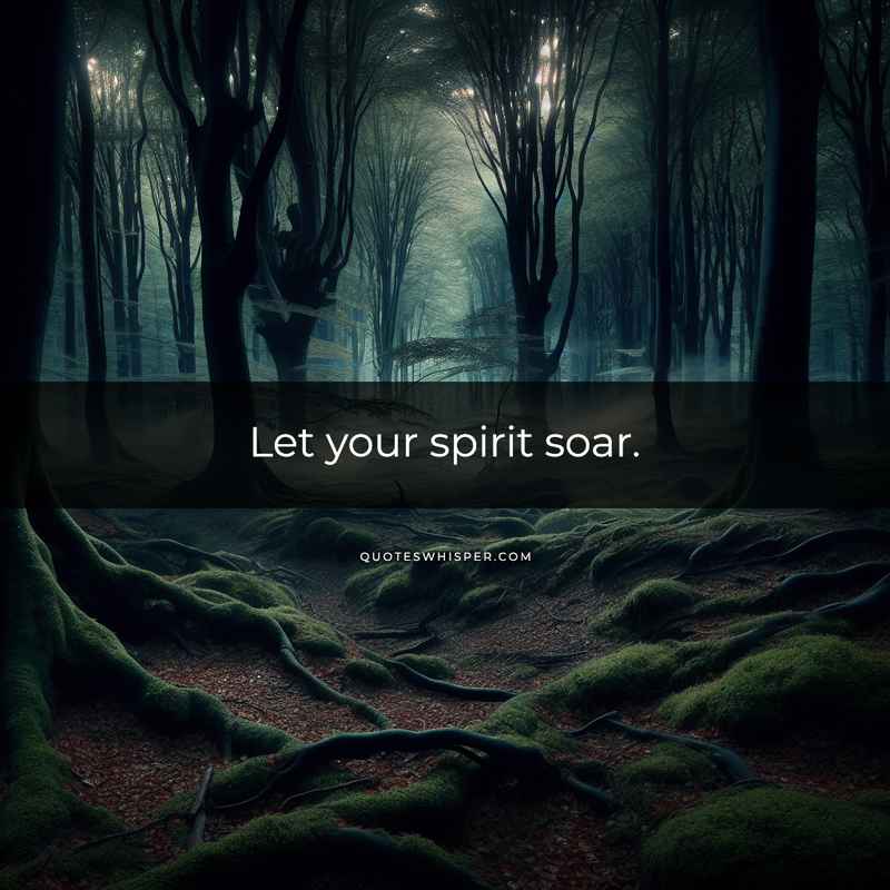 Let your spirit soar.