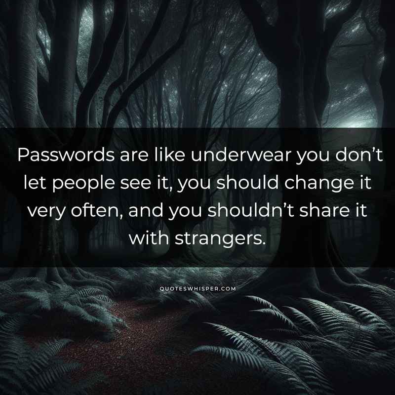 Passwords are like underwear you don’t let people see it, you should change it very often, and you shouldn’t share it with strangers.
