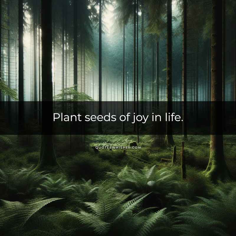 Plant seeds of joy in life.