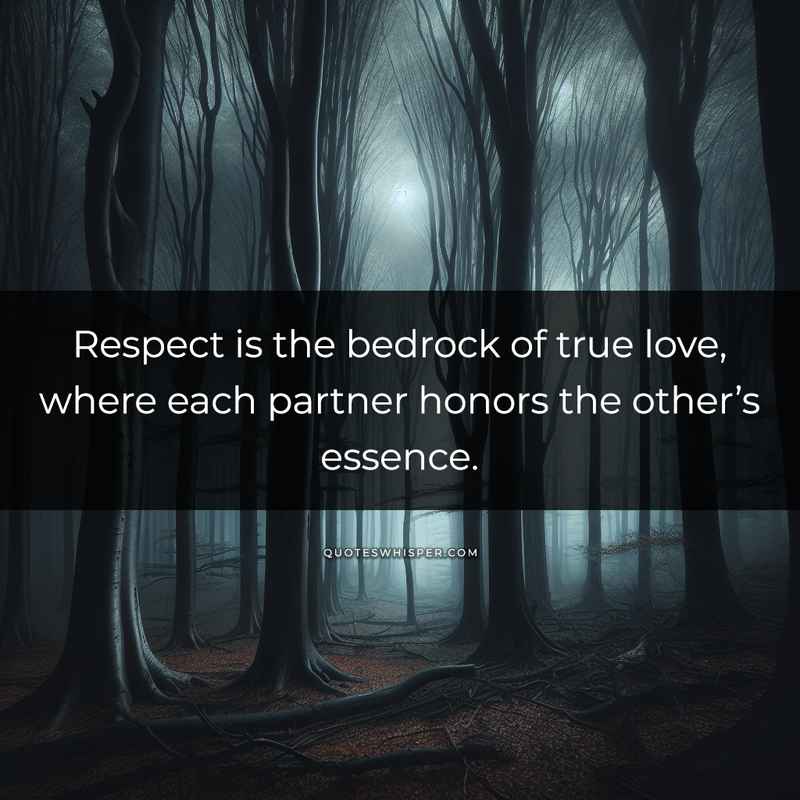 Respect is the bedrock of true love, where each partner honors the other’s essence.