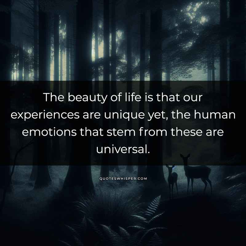The beauty of life is that our experiences are unique yet, the human emotions that stem from these are universal.