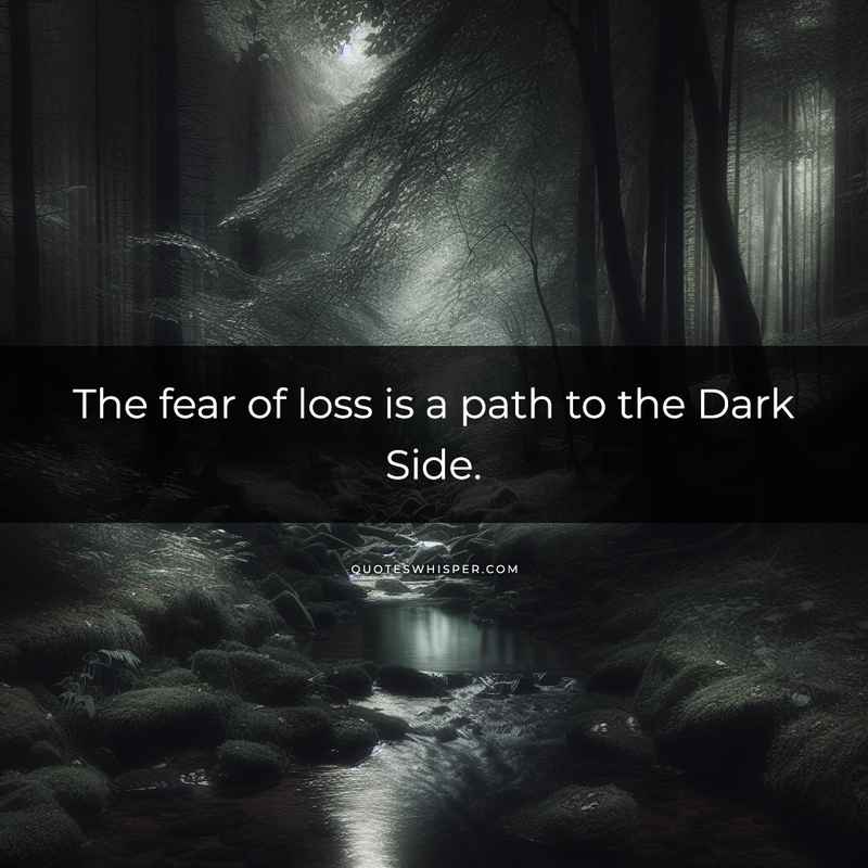 The fear of loss is a path to the Dark Side.