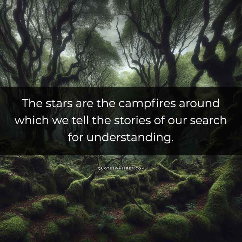 The stars are the campfires around which we tell the stories of our search for understanding.