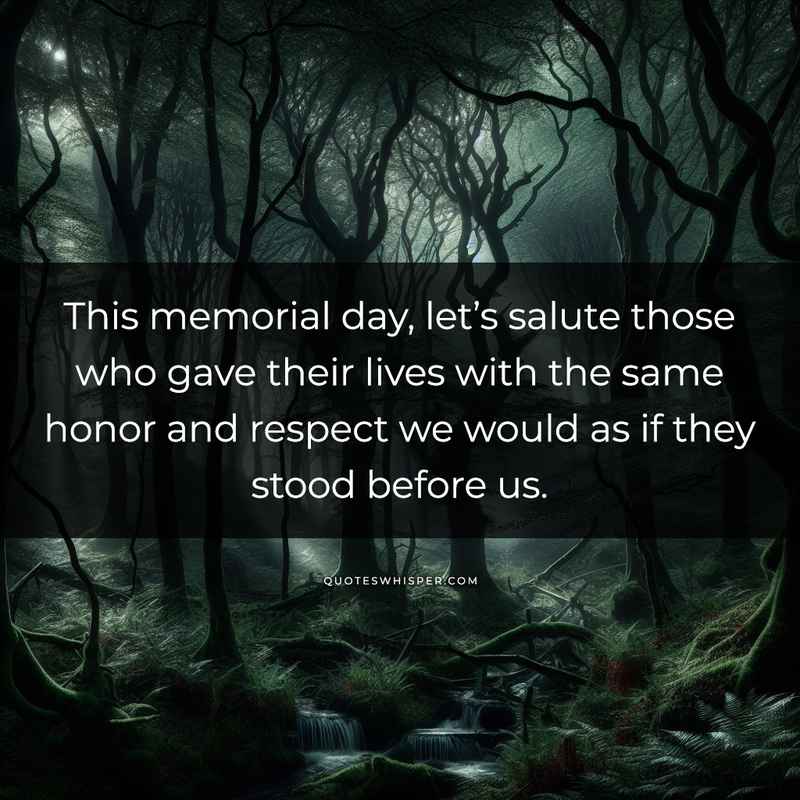This memorial day, let’s salute those who gave their lives with the same honor and respect we would as if they stood before us.