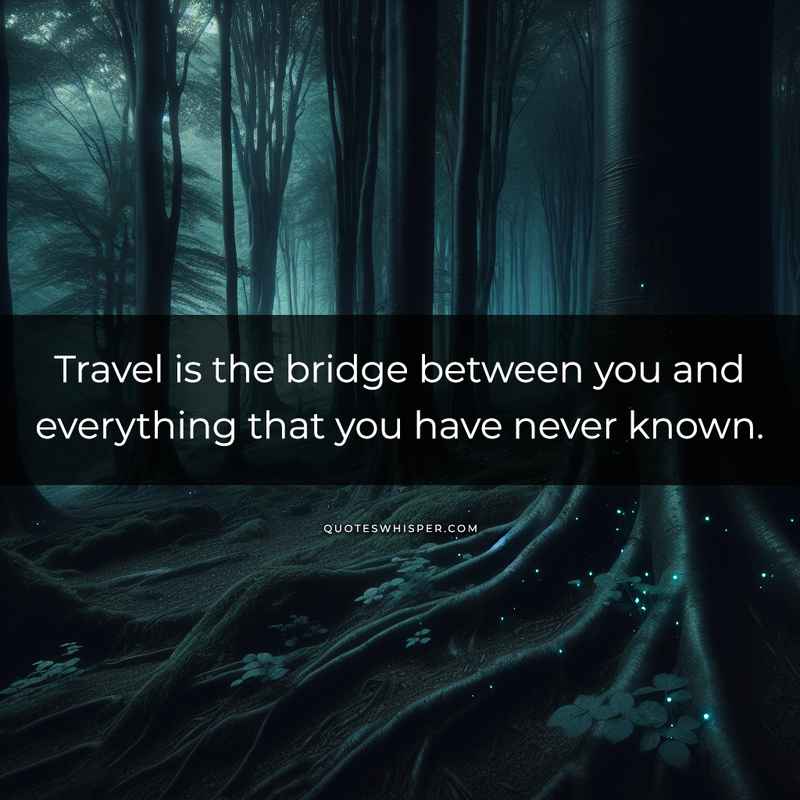 Travel is the bridge between you and everything that you have never known.