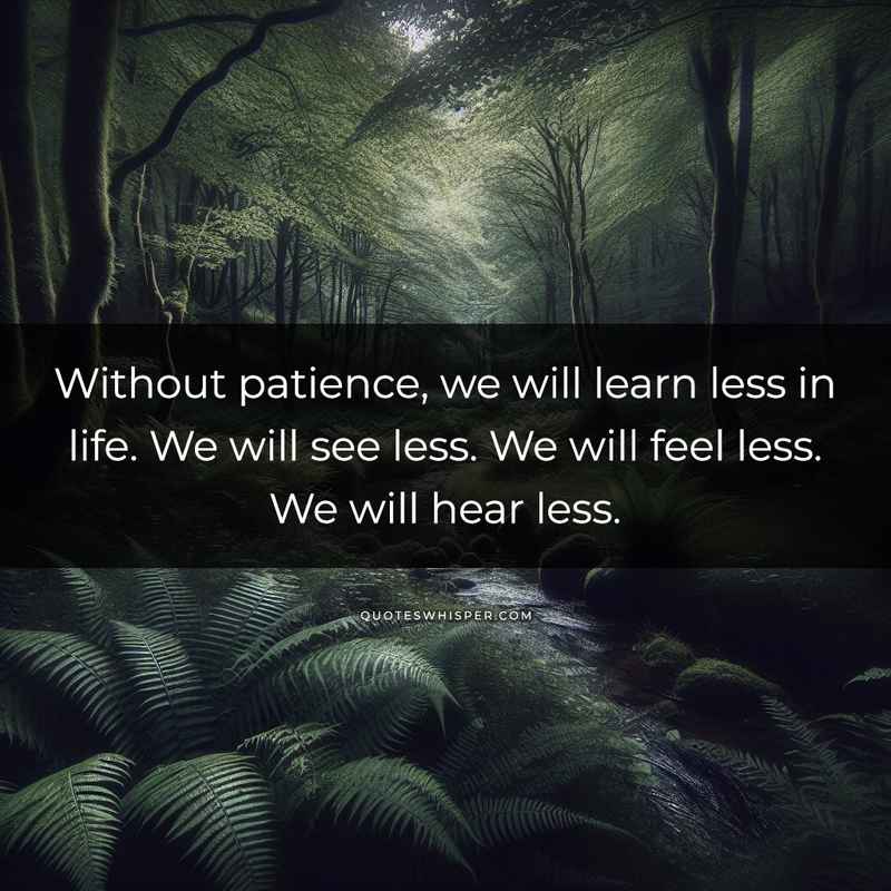 Without patience, we will learn less in life. We will see less. We will feel less. We will hear less.