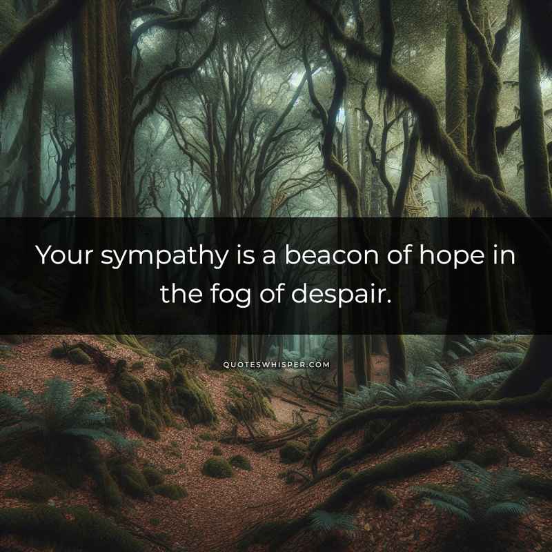 Your sympathy is a beacon of hope in the fog of despair.