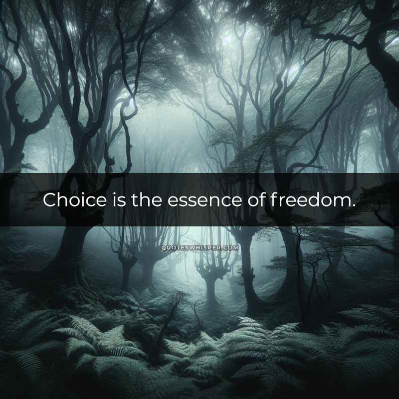 Choice is the essence of freedom.