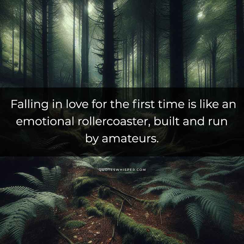 Falling in love for the first time is like an emotional rollercoaster, built and run by amateurs.