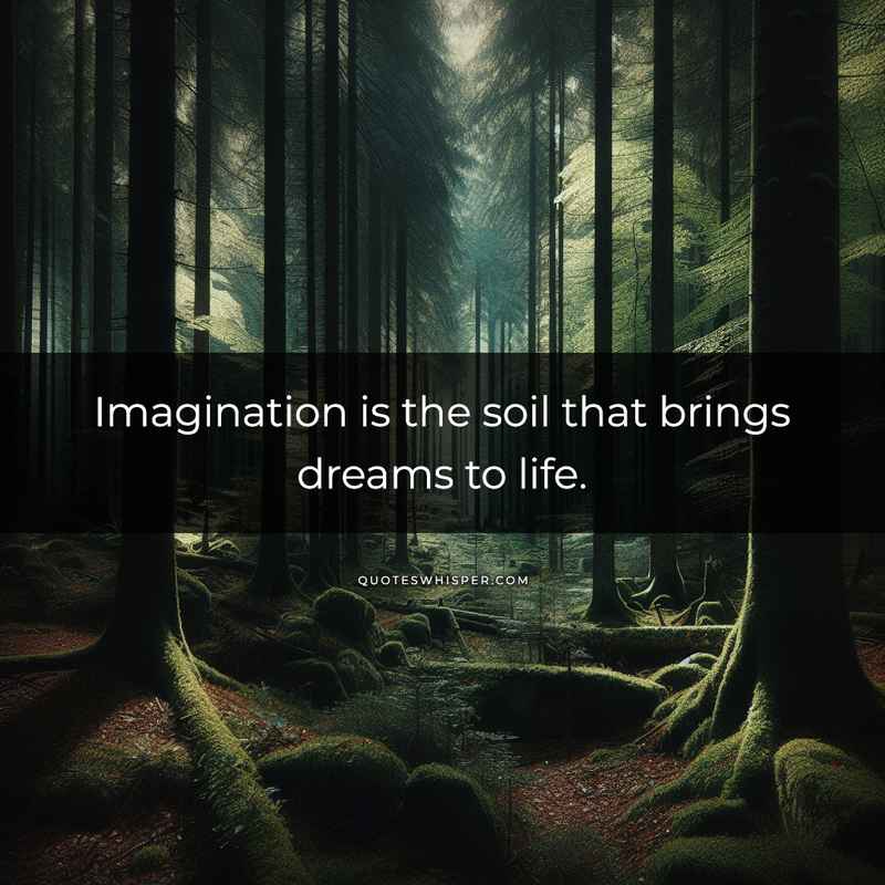 Imagination is the soil that brings dreams to life.