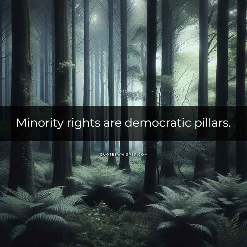 Minority rights are democratic pillars.